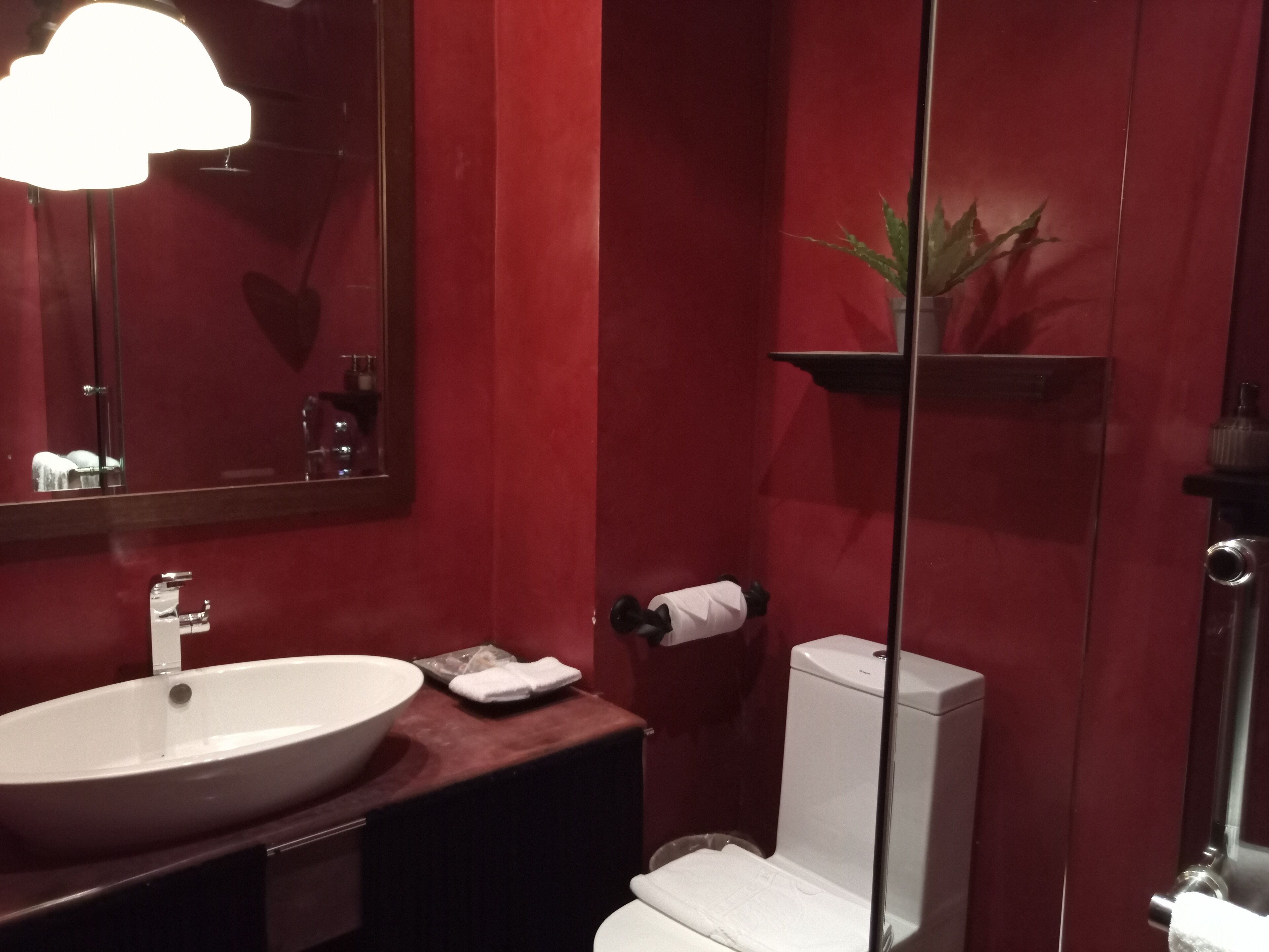 shower, rainfall showerhead, free toiletries, hair dryer