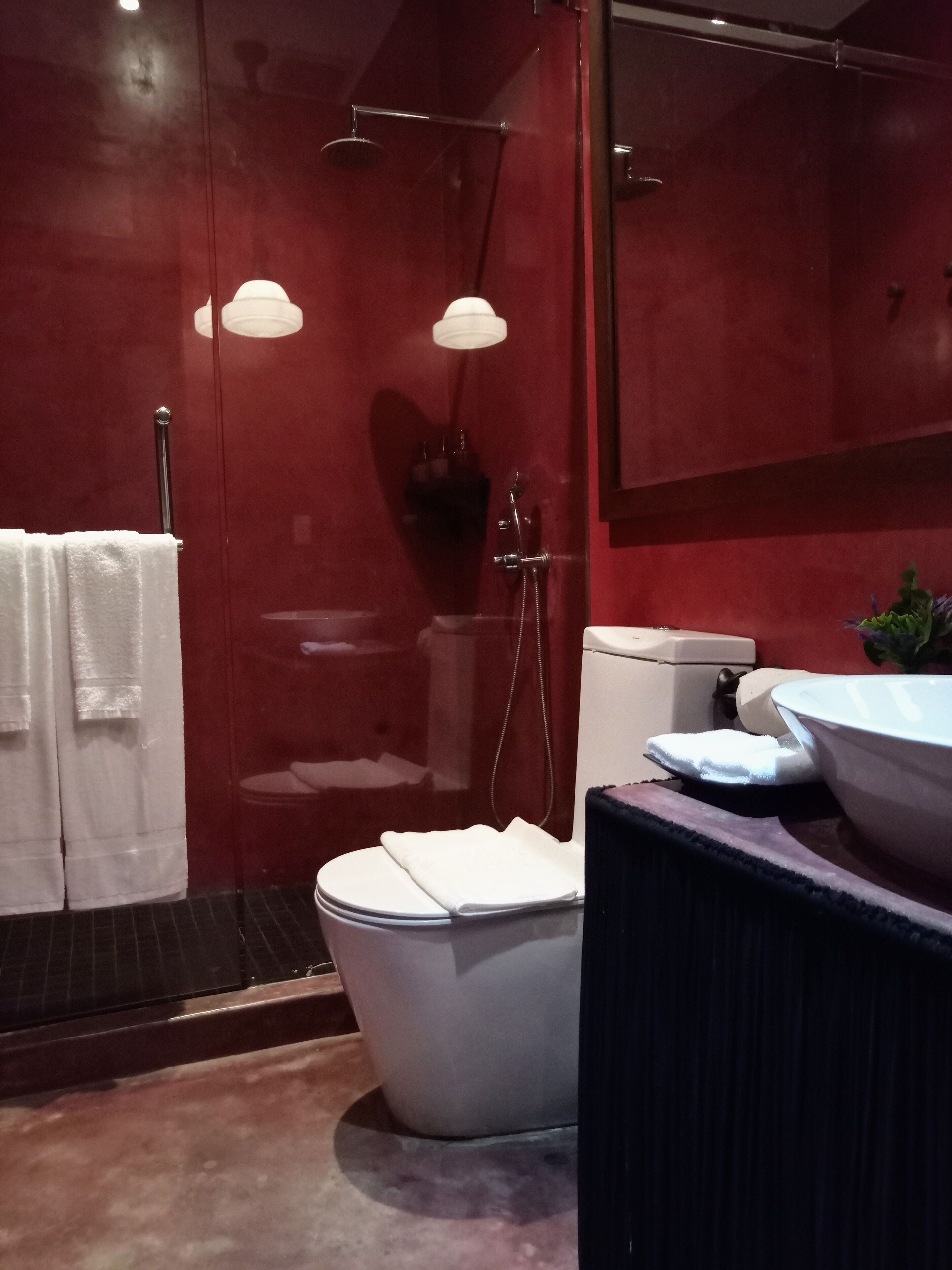deluxe double room | bathroom | shower, rainfall showerhead, free toiletries, hair dryer