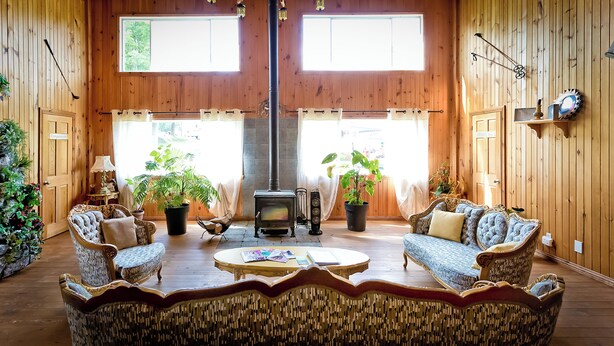 Una habitación acogedora con chimenea central, dos sofás enfrentados y plantas en macetas.