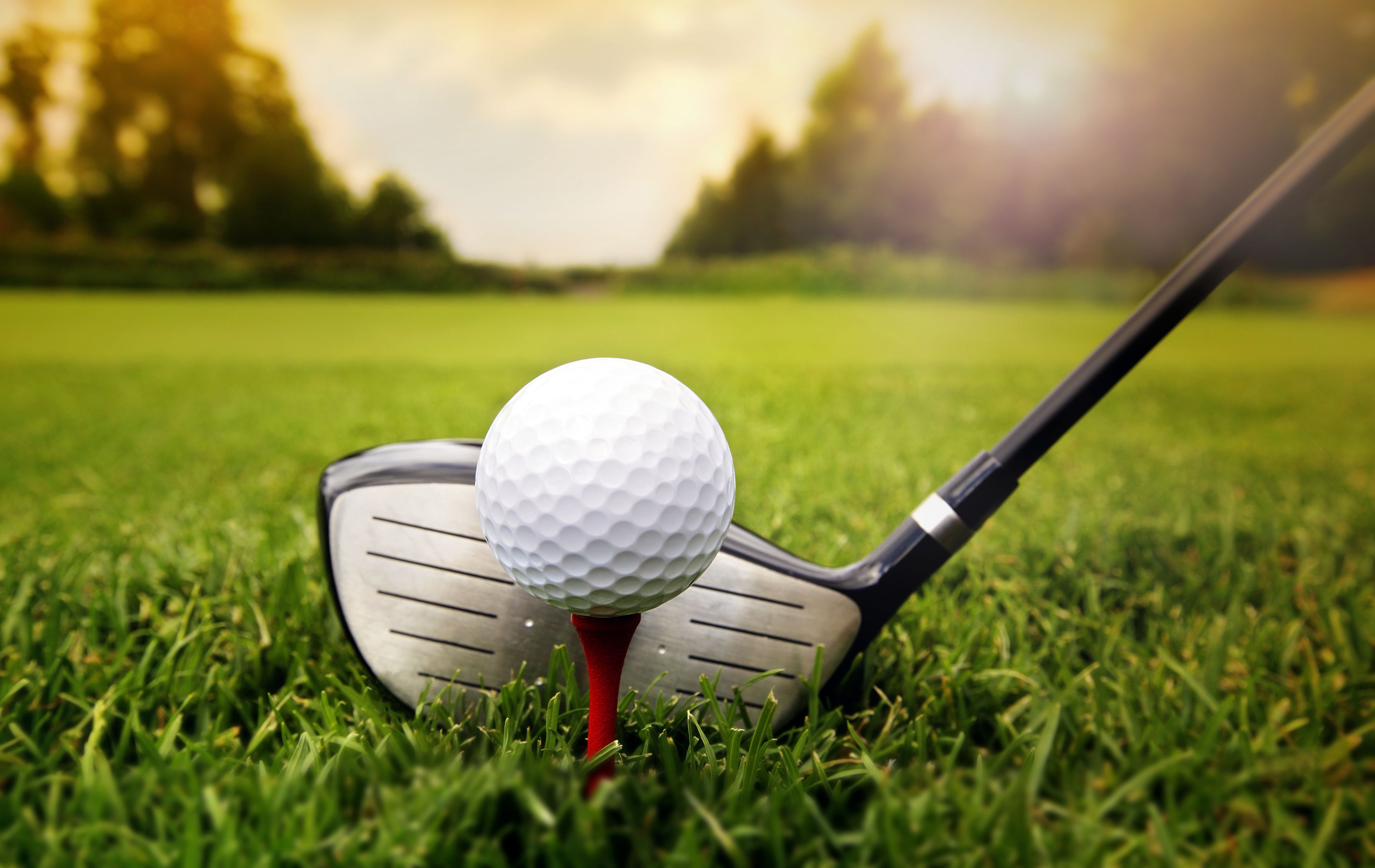 Una pallina da golf su un tee in un'area erbosa.