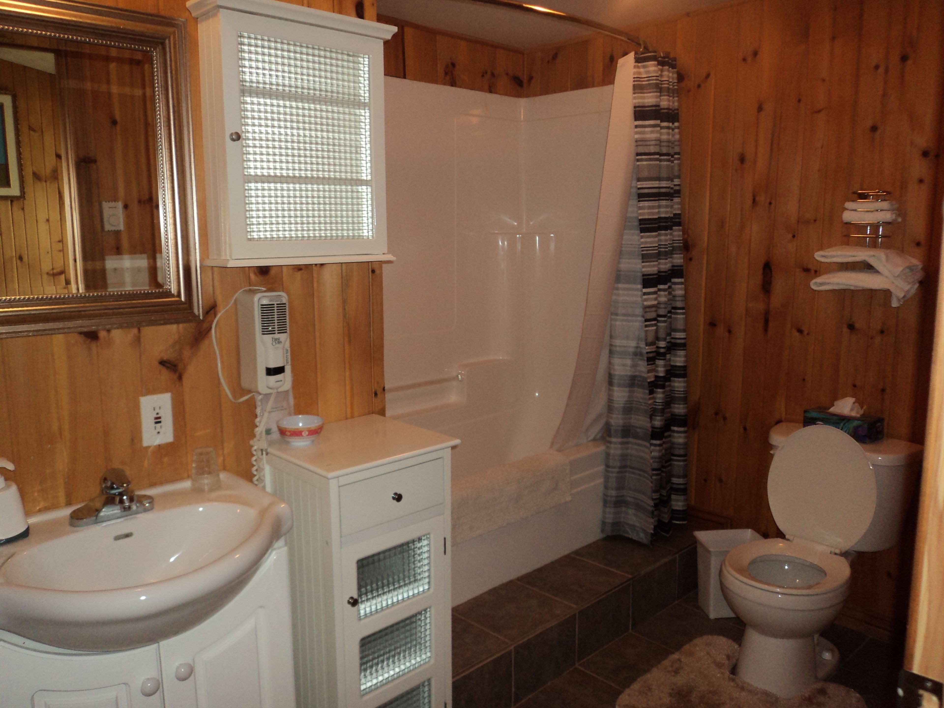 A bathroom with a sink, mirror, vanity, shower, and toilet.
