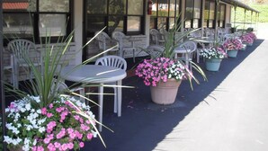A row of outdoor tables and chairs with potted plants in front.
