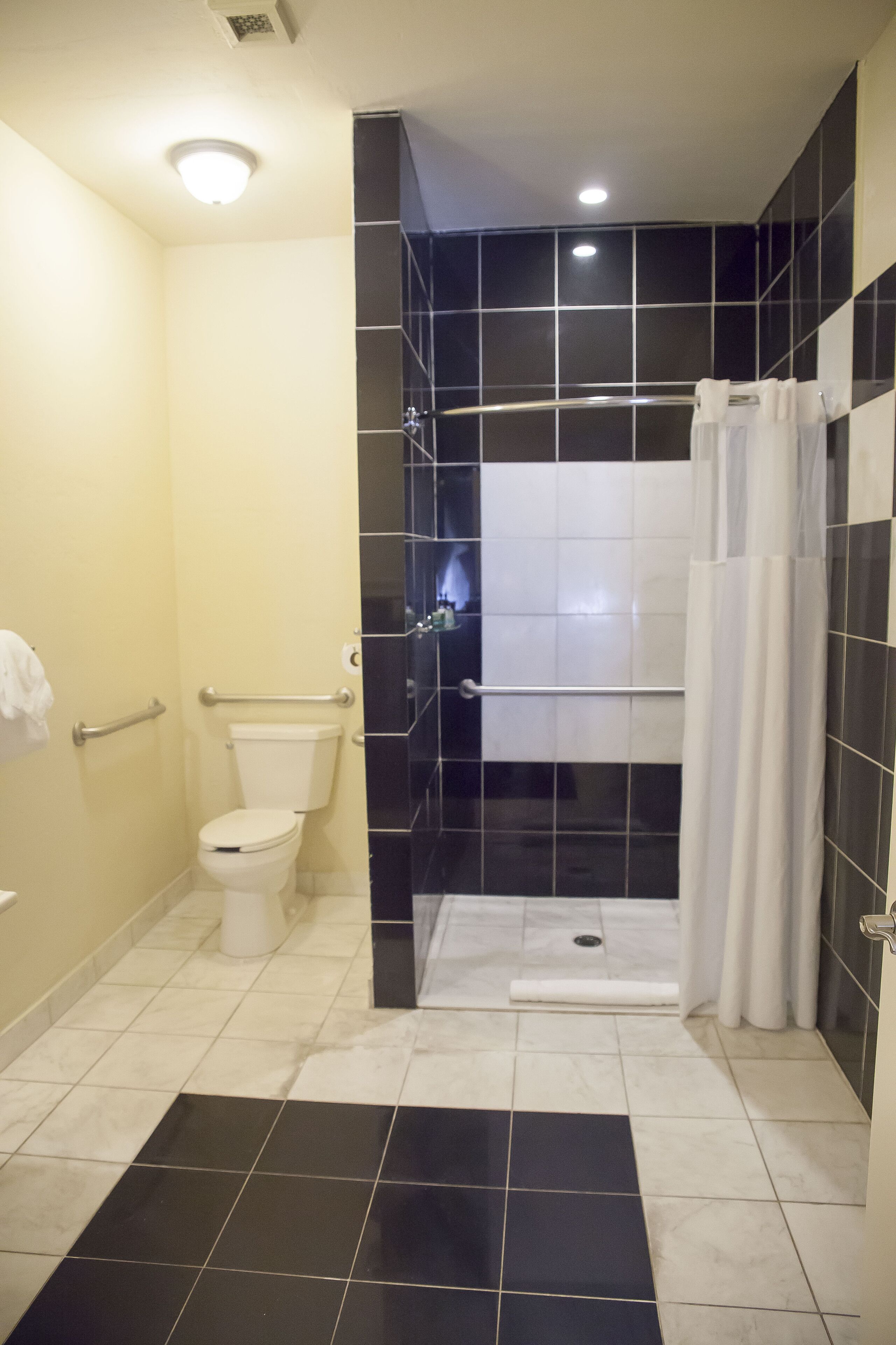 standard room, 1 queen bed, accessible | bathroom shower