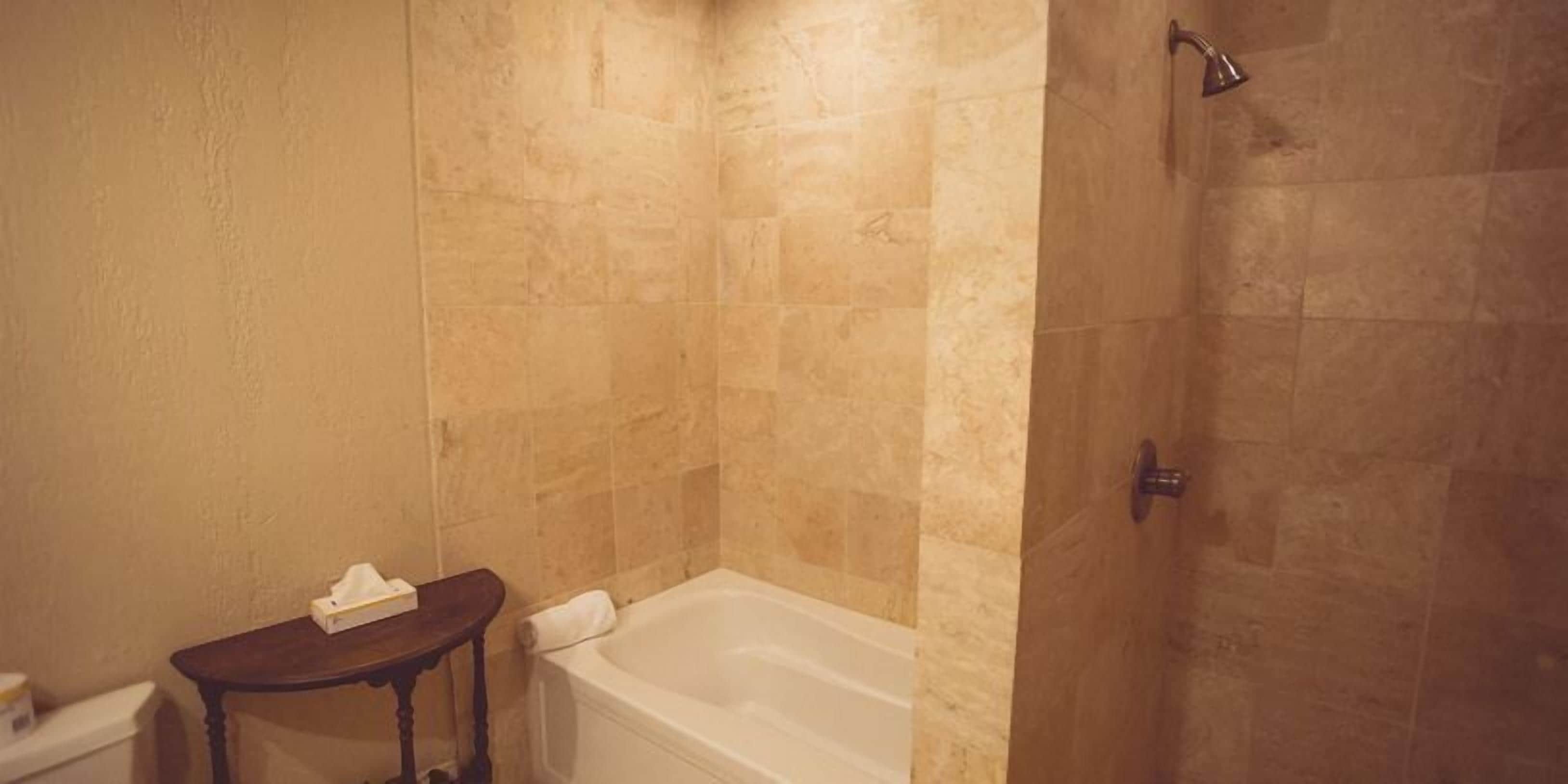 free toiletries, hair dryer, towels