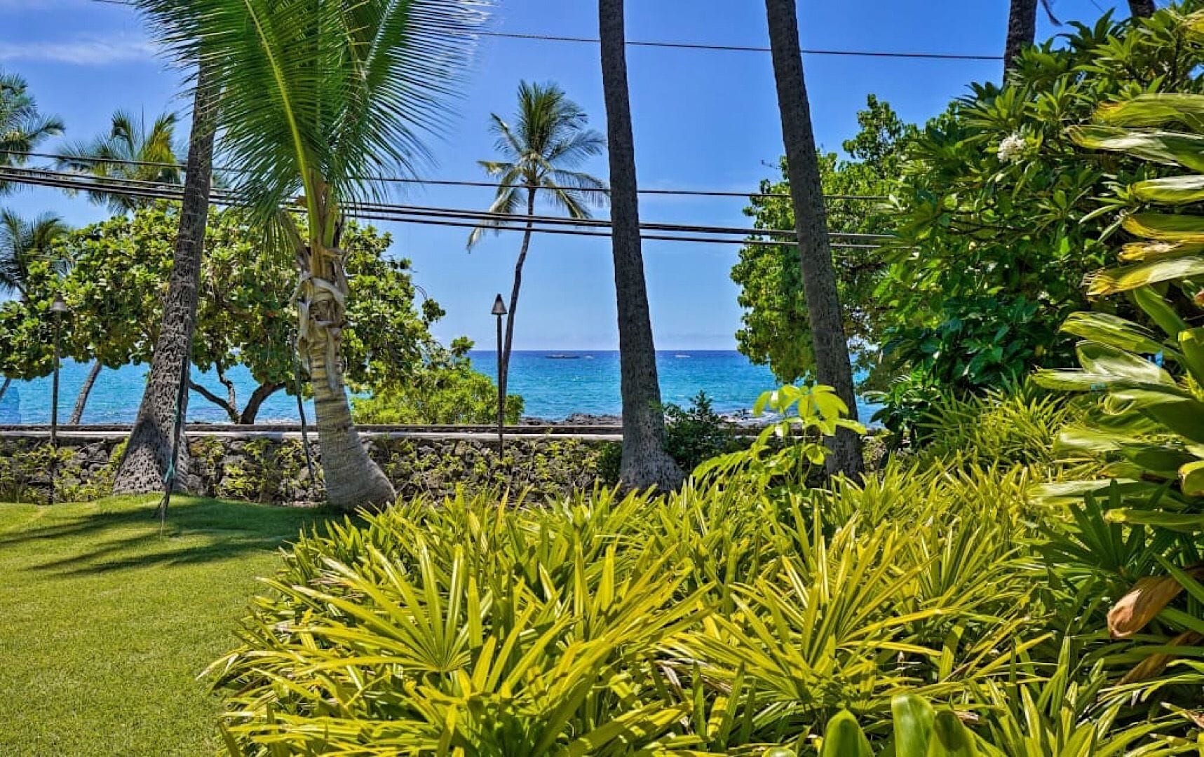 Un jardín tropical con palmeras y vista al océano.