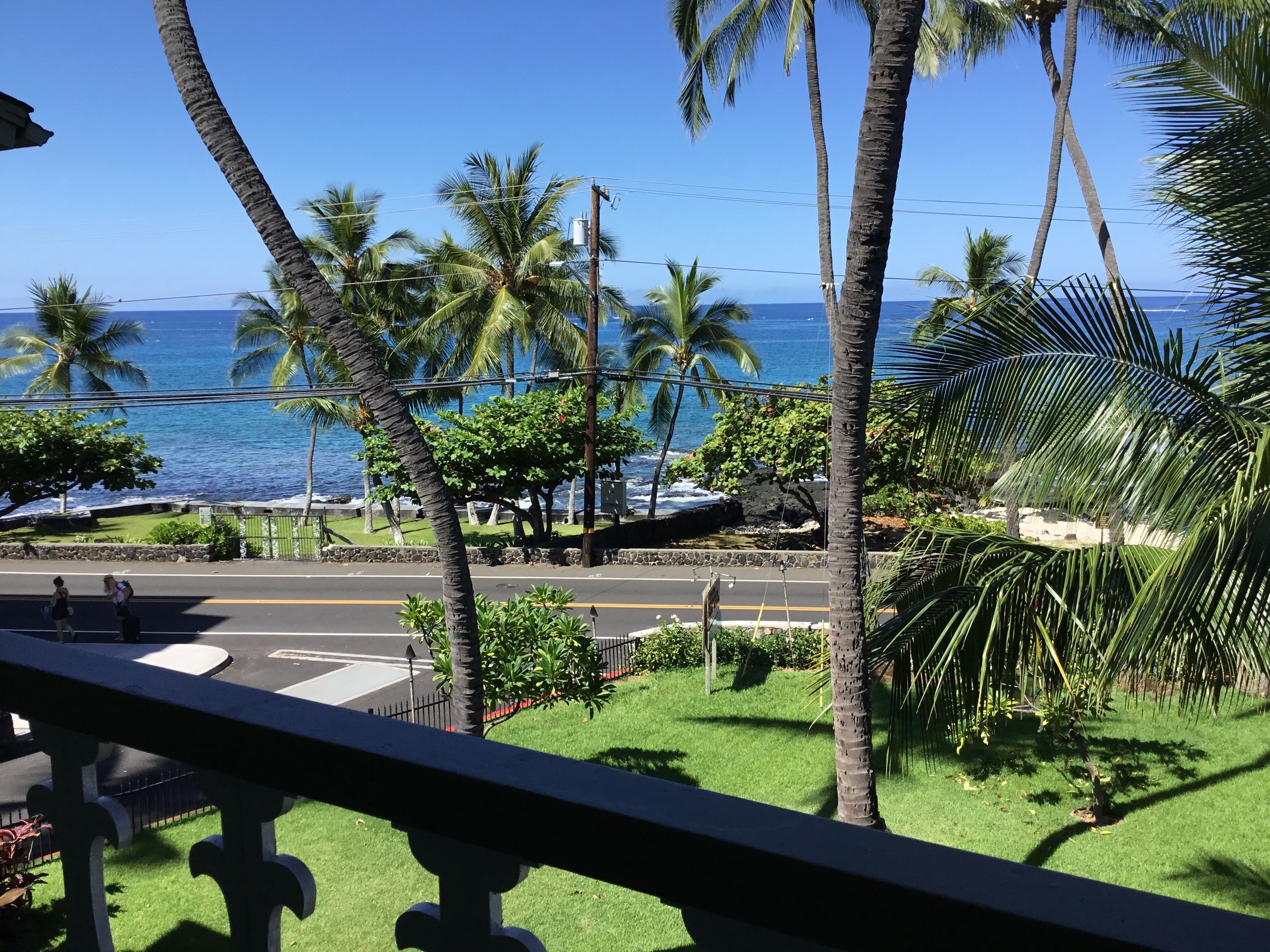 A view from a balcony overlooking a street with palm trees and a view of the ocean.