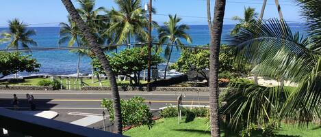 A view from a balcony overlooking a street with palm trees and a view of the ocean.
