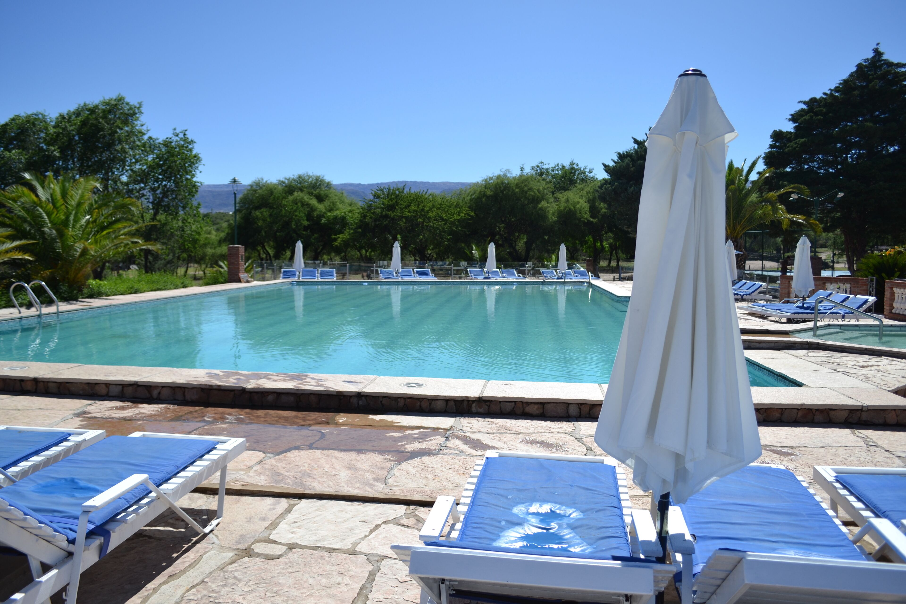 A pool area with lounge chairs and umbrellas, surrounded by trees and a clear sky.