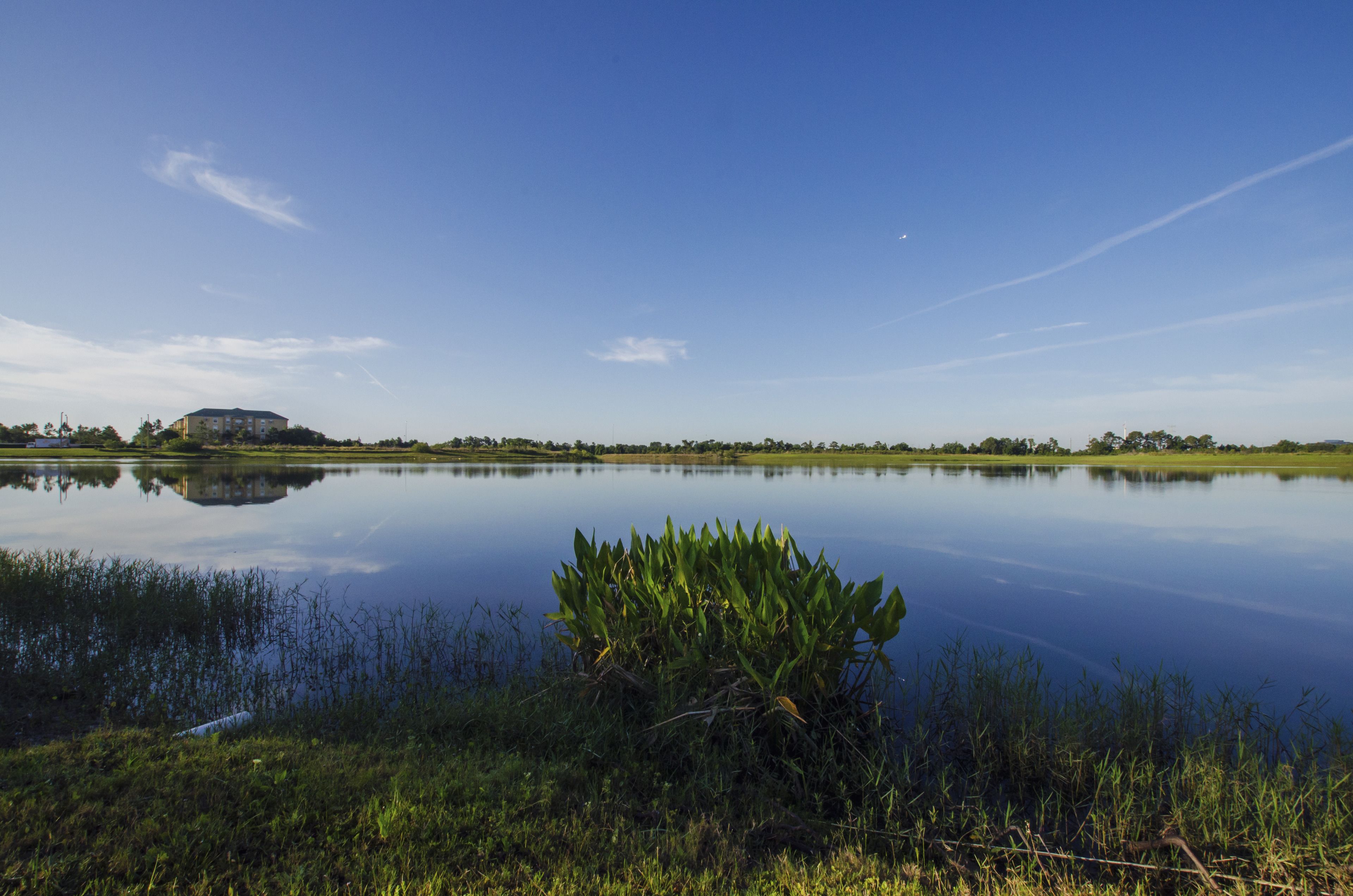 Un lago tranquilo que refleja un edificio y árboles, rodeado de vegetación.