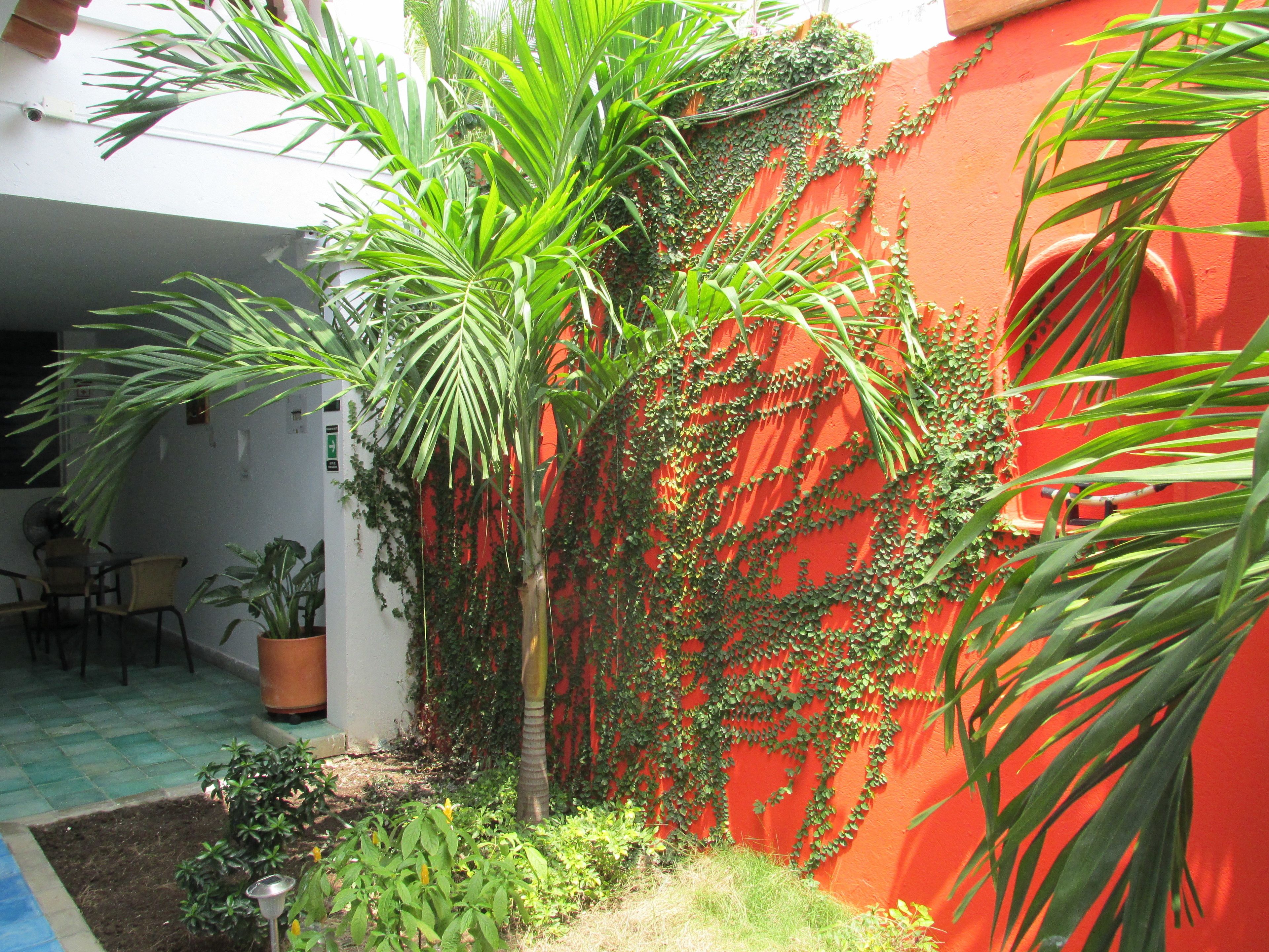 Foto - Zana Hotel Boutique