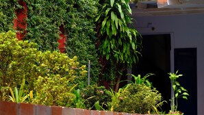 Une cour avec un sol carrelé, un mur en briques et diverses plantes.