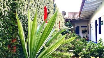 Jardim