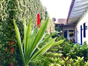 Jardín