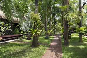 Vườn