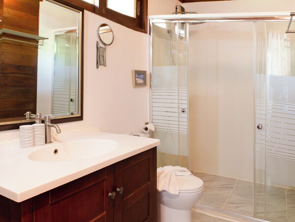 Un baño con lavamanos blanco, un espejo, inodoro y ducha.