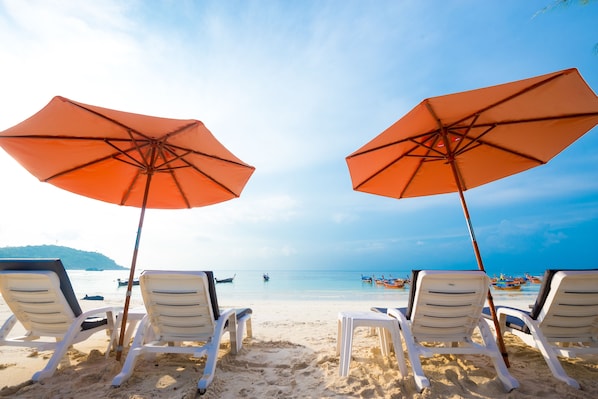 Plage, chaises longues, parasols, bar de plage