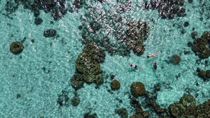 A clear turquoise sea with visible rocks and coral formations.
