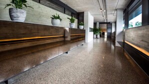 A modern interior with a long reception area, potted plants, and a polished concrete floor. - 381 Cremorne (Cremorne)