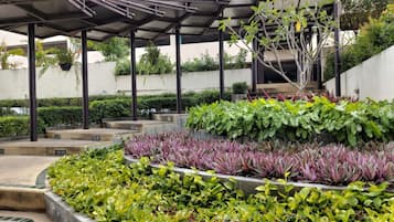 Vista al jardín