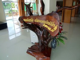 Comodidades da propriedade