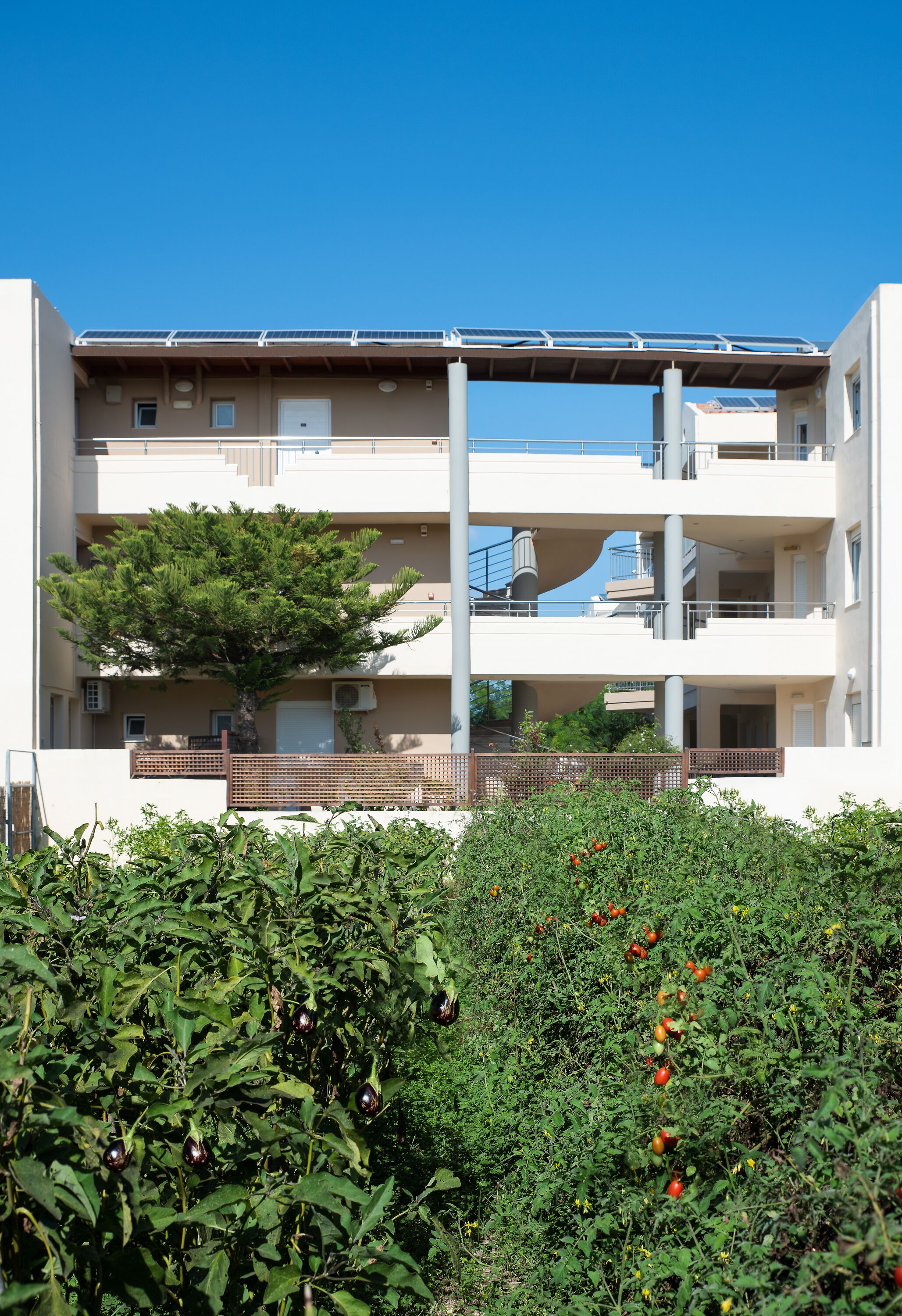 A multi-story building with balconies, solar panels, and a tree in the foreground.