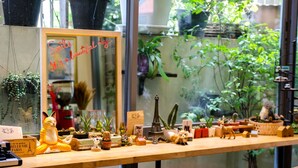A wooden table with various decorative items, including a cat figurine, a miniature Eiffel Tower, and several potted plants. - Good Day Hostel (Bangkok)
