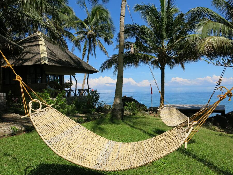 A hammock in a tropical setting with a view of the ocean and palm trees.