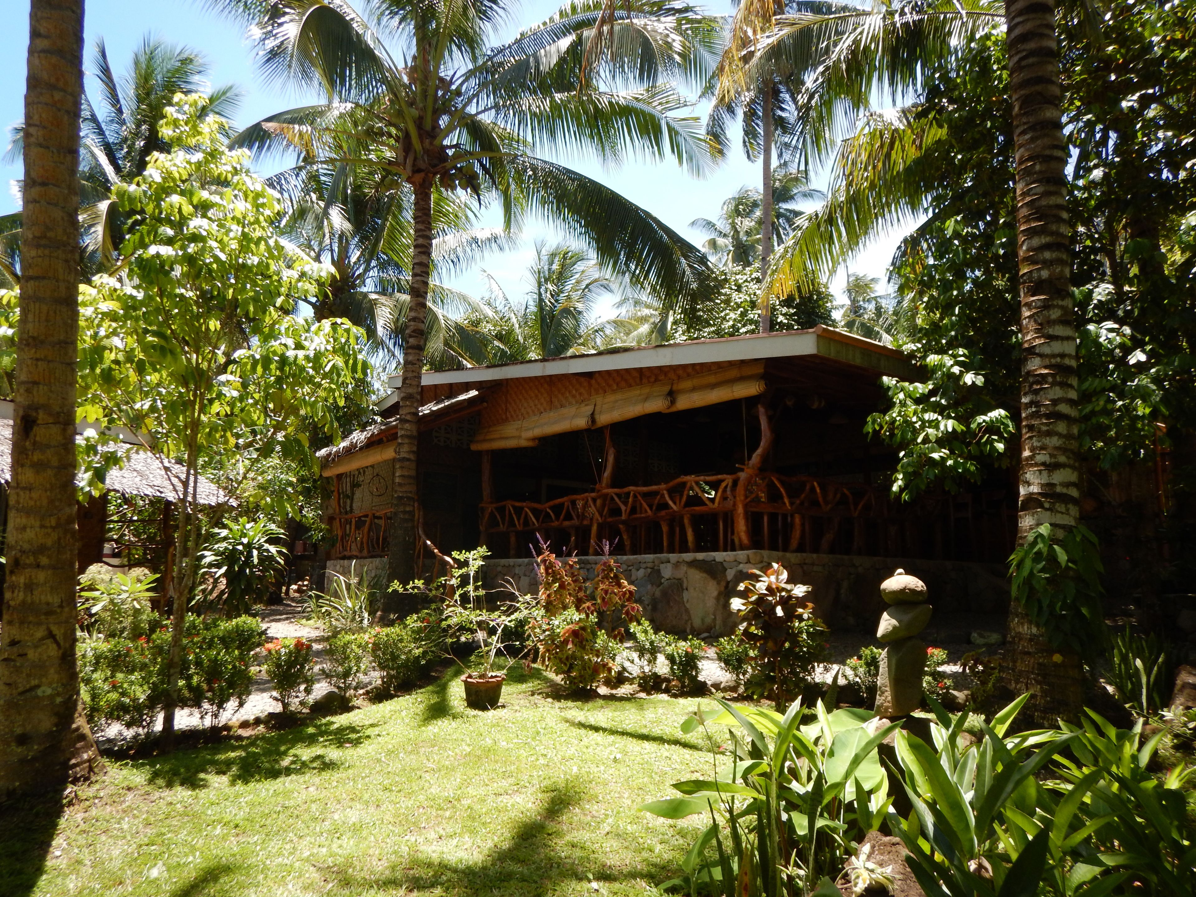 Un jardín tropical con una estructura de madera, rodeado de palmeras y diversas plantas.