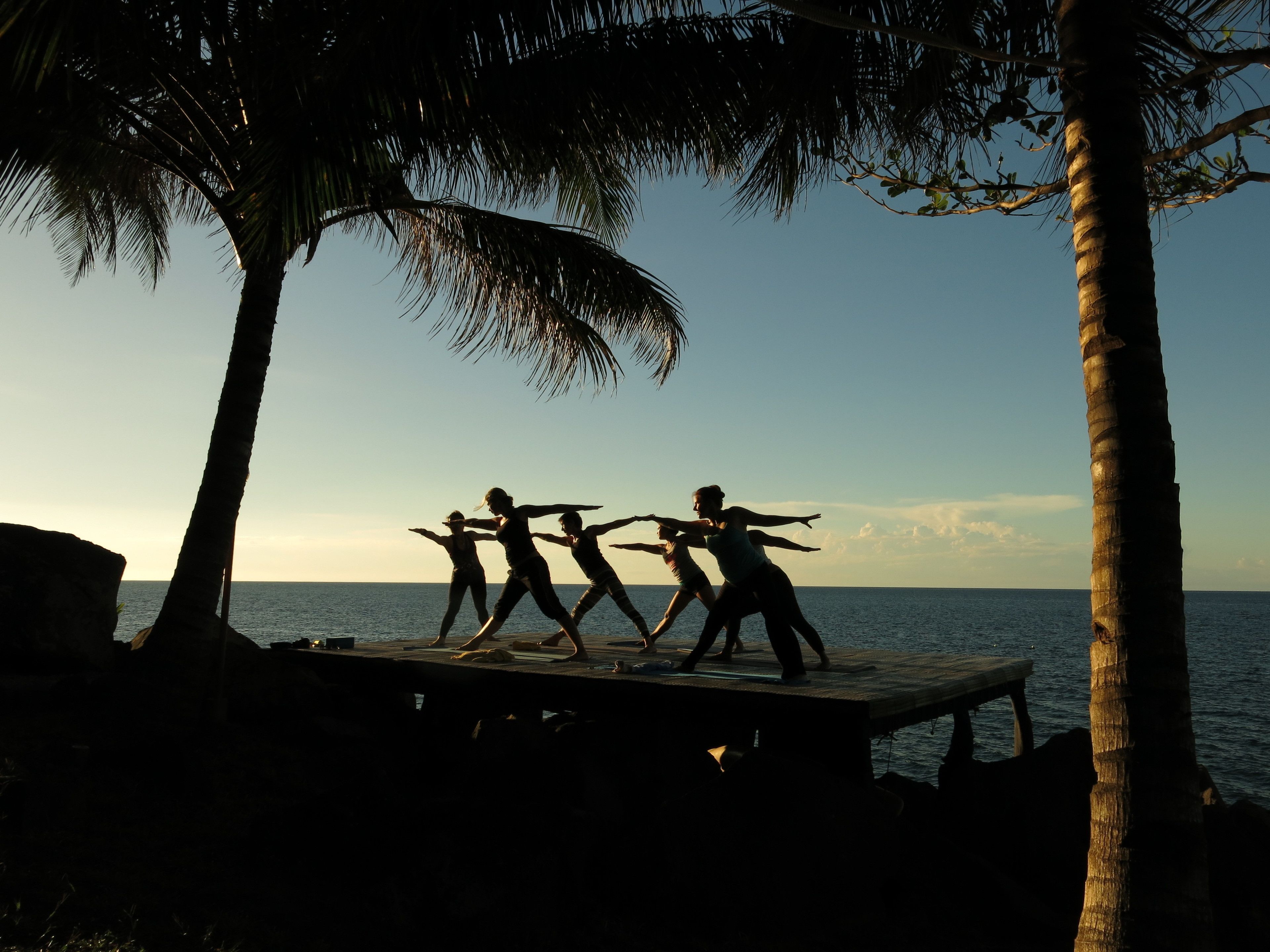 A beach scene with palm trees and a wooden platform.