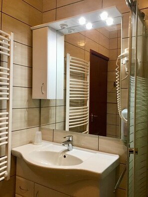 Bathroom features a large mirror, sink, cabinet, and glass shower enclosure with handheld showerhead.