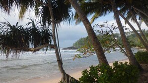A beach with palm trees and a sandy shore. - Paradise Beach Club (Mirissa)