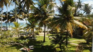 A tropical garden with palm trees, a lawn, and a view of the ocean. - Paradise Beach Club (Mirissa)