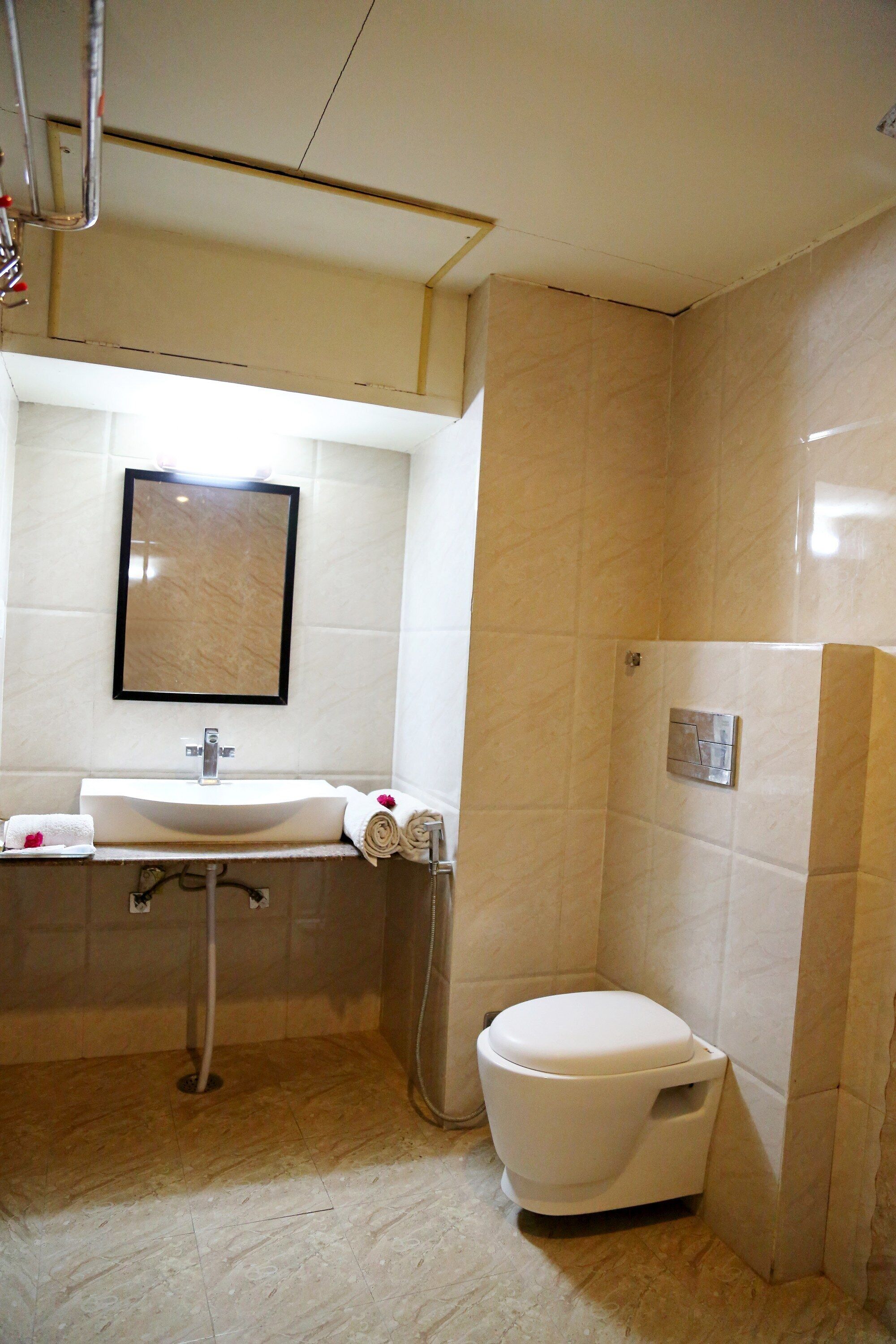 Photo - Narayans Leela Inn