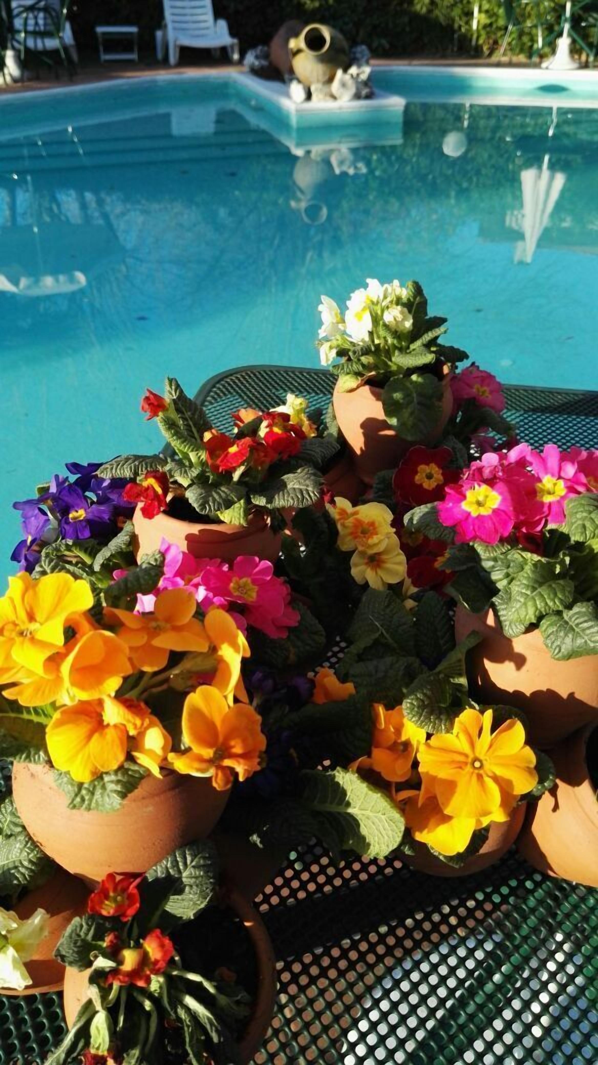 Phòng đôi hoặc 2 giường đơn Tiêu chuẩn