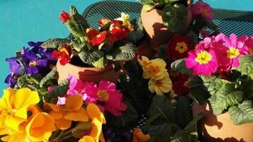 Habitación estándar con 1 cama matrimonial o 2 individuales