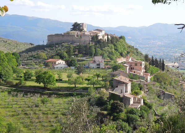Un castillo histórico en una colina, rodeado de edificaciones residenciales y abundante vegetación.