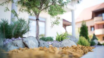 A landscaped garden with a small tree, rocks, and mulch.
