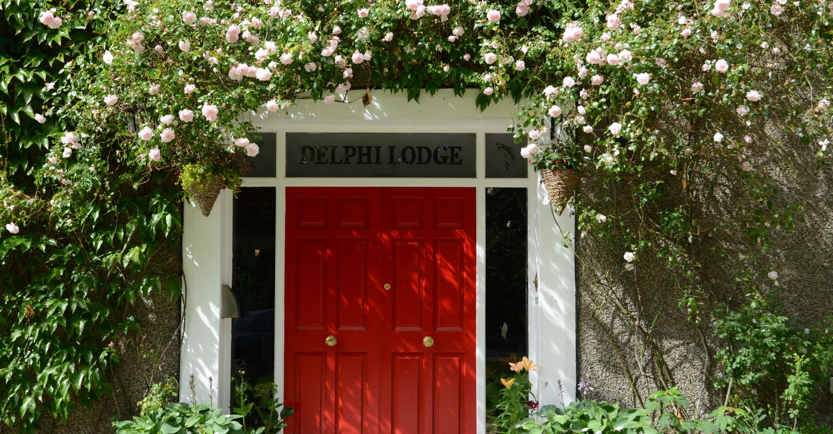 Une porte rouge sur laquelle on peut lire l’inscription « Delphi Lodge », entourée d’une végétation luxuriante et de rosiers grimpants.