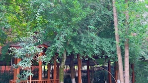 花園