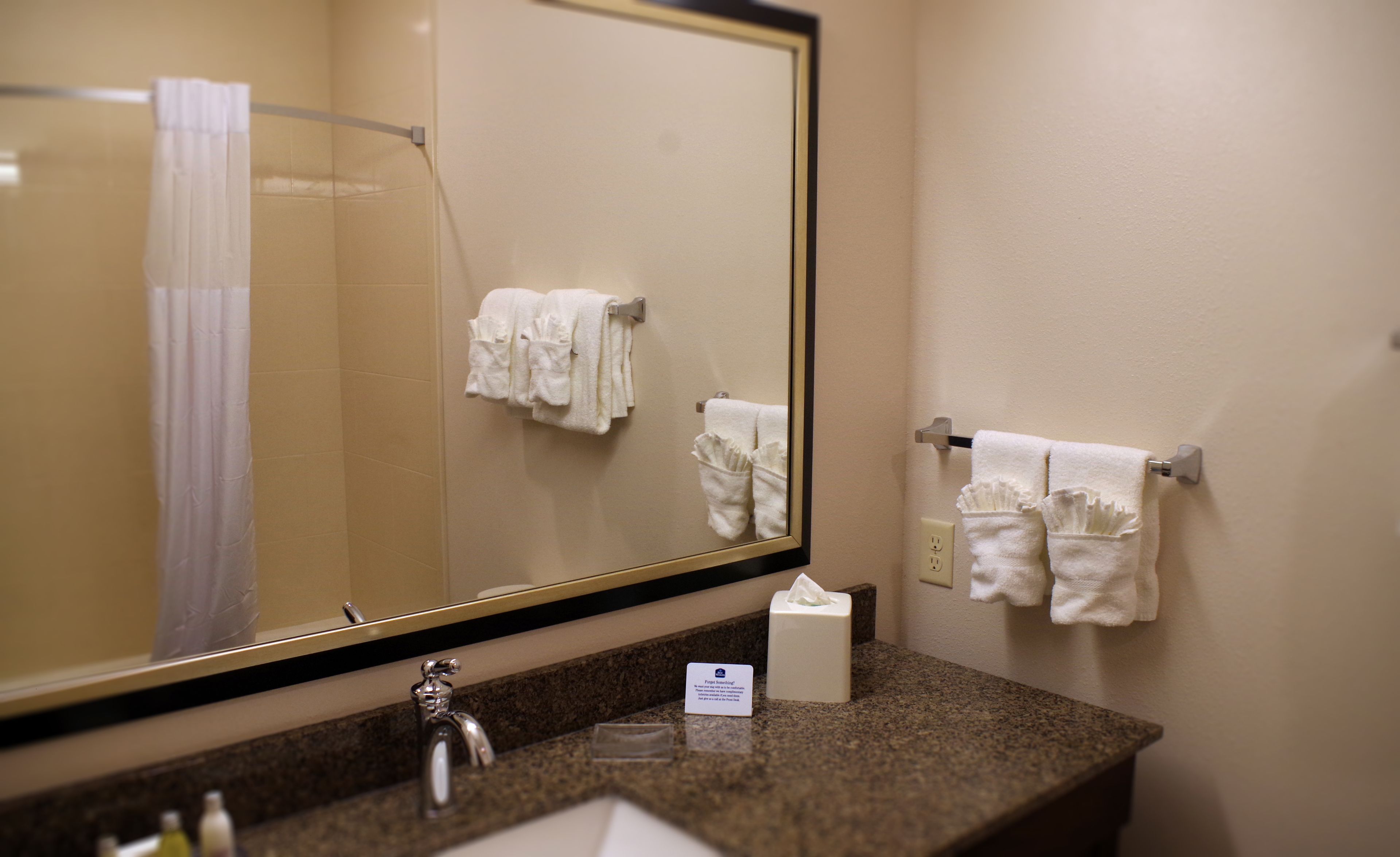 combined shower/bathtub, free toiletries, hair dryer, towels