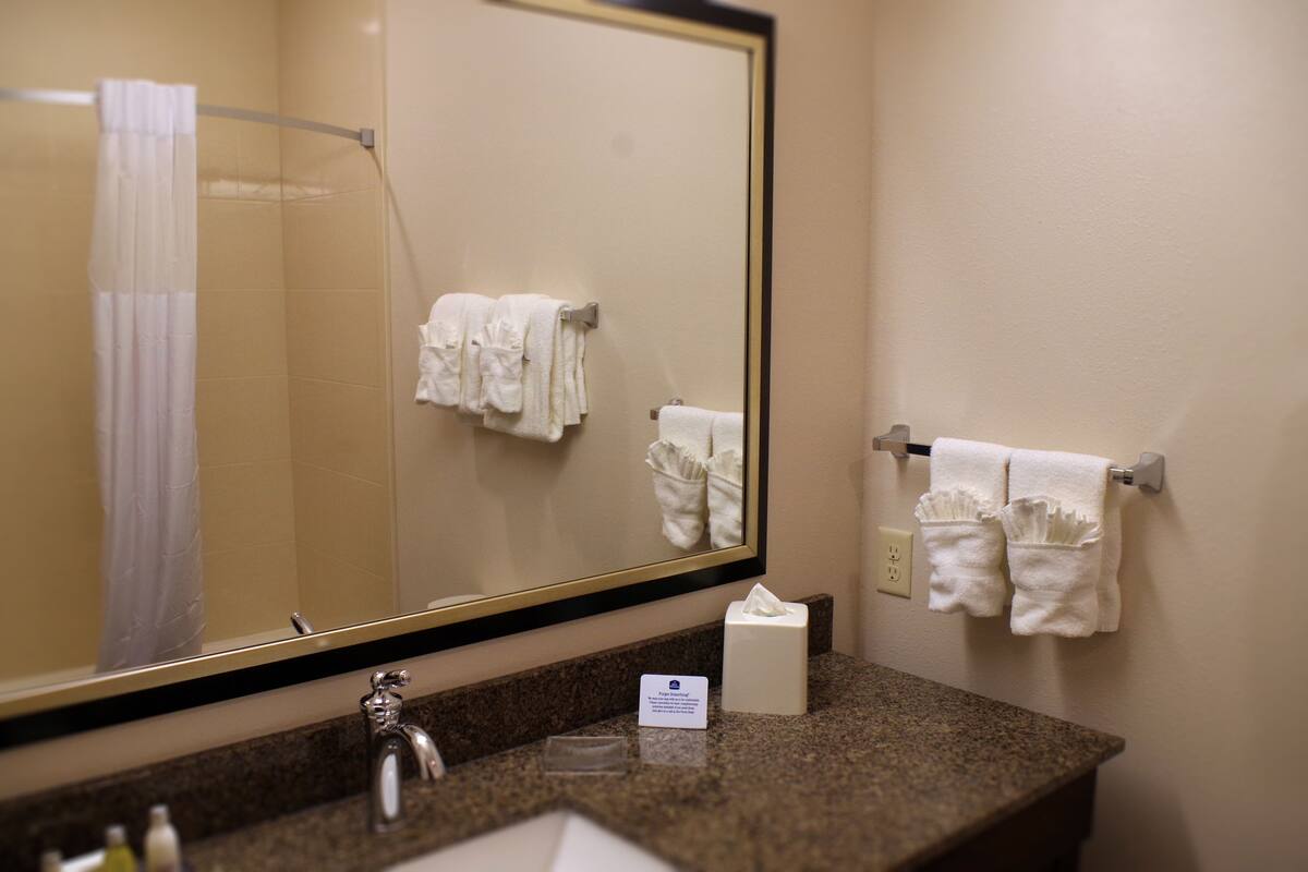 combined shower/bathtub, free toiletries, hair dryer, towels