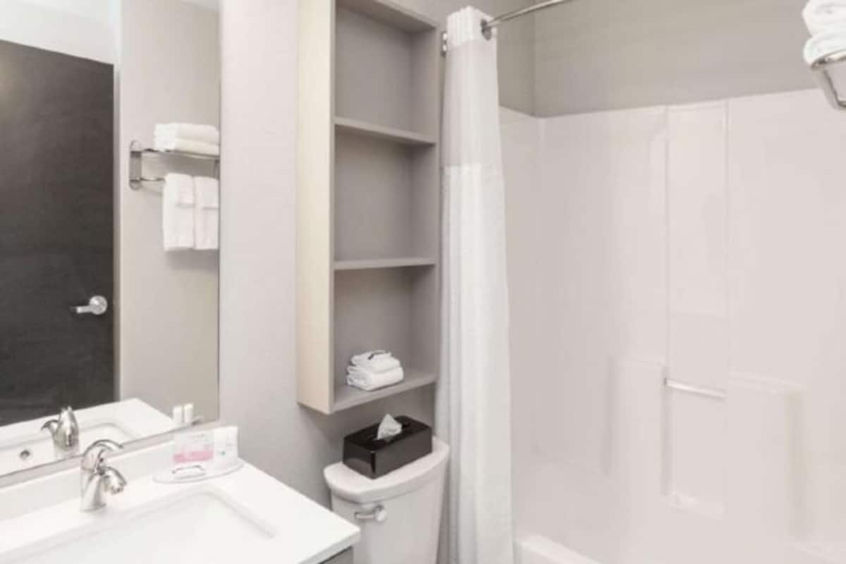 Bathroom | Combined shower/tub, free toiletries, hair dryer, towels