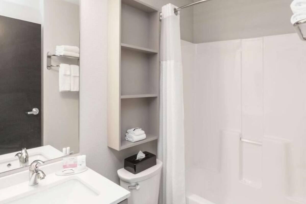 Bathroom | Combined shower/tub, free toiletries, hair dryer, towels
