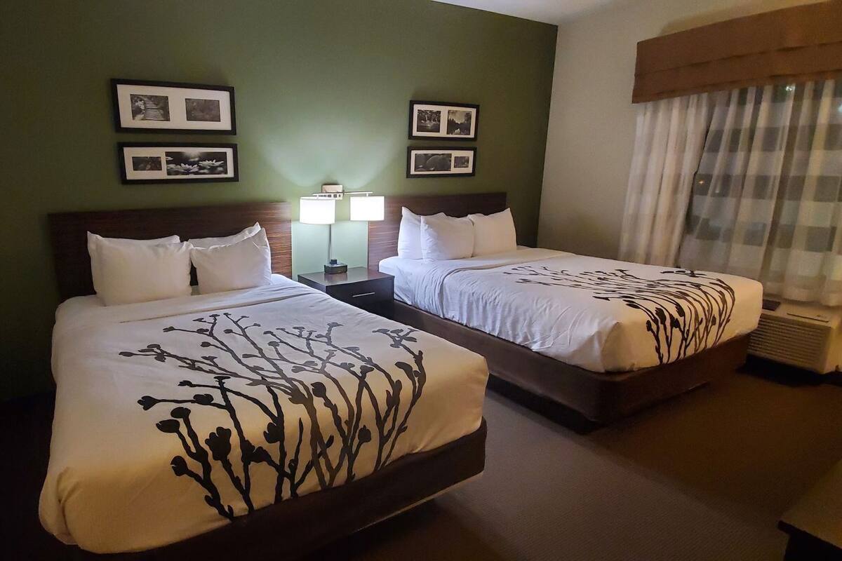 Habitación de hotel con dos camas, una mesita de noche con lámpara, cuadros en la pared y una ventana con cortinas.