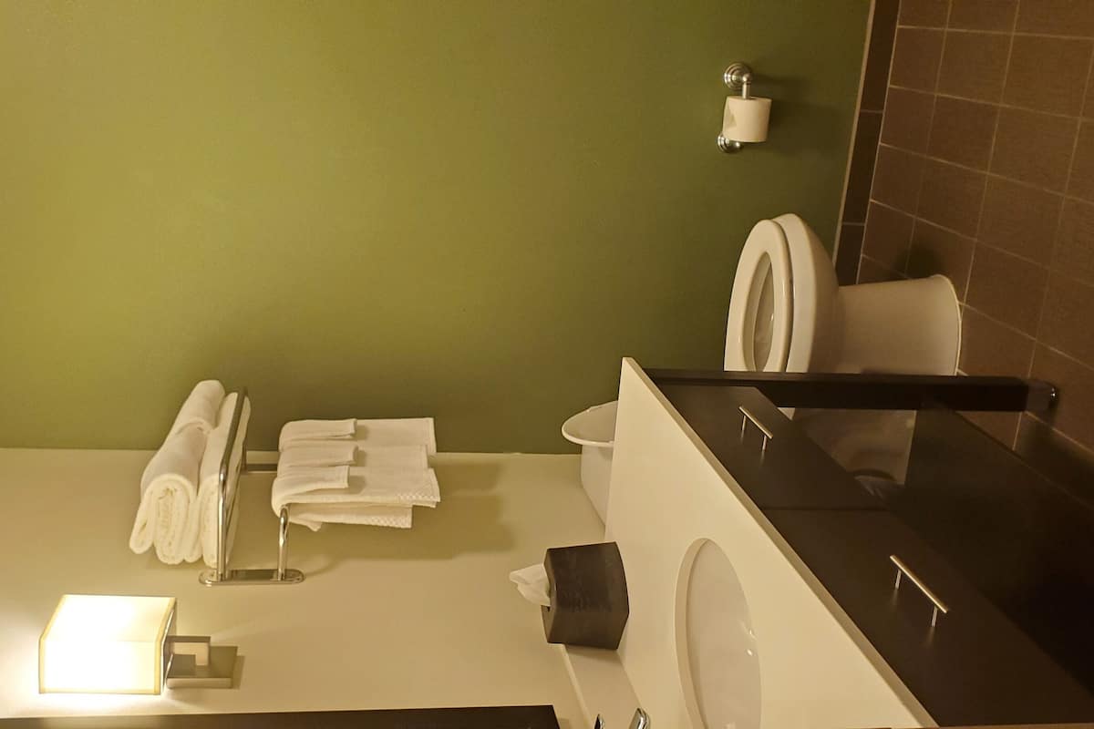 free toiletries, hair dryer, towels, soap