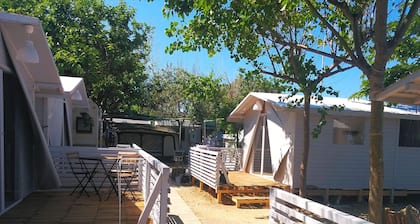 Pet Family Camping Cortina