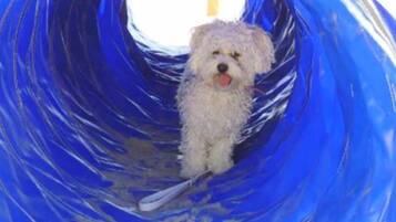 Private beach, white sand, sun loungers, beach umbrellas