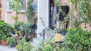 A building with a white entrance, potted plants, and outdoor furniture. - Bayer Hotel (Istanbul)