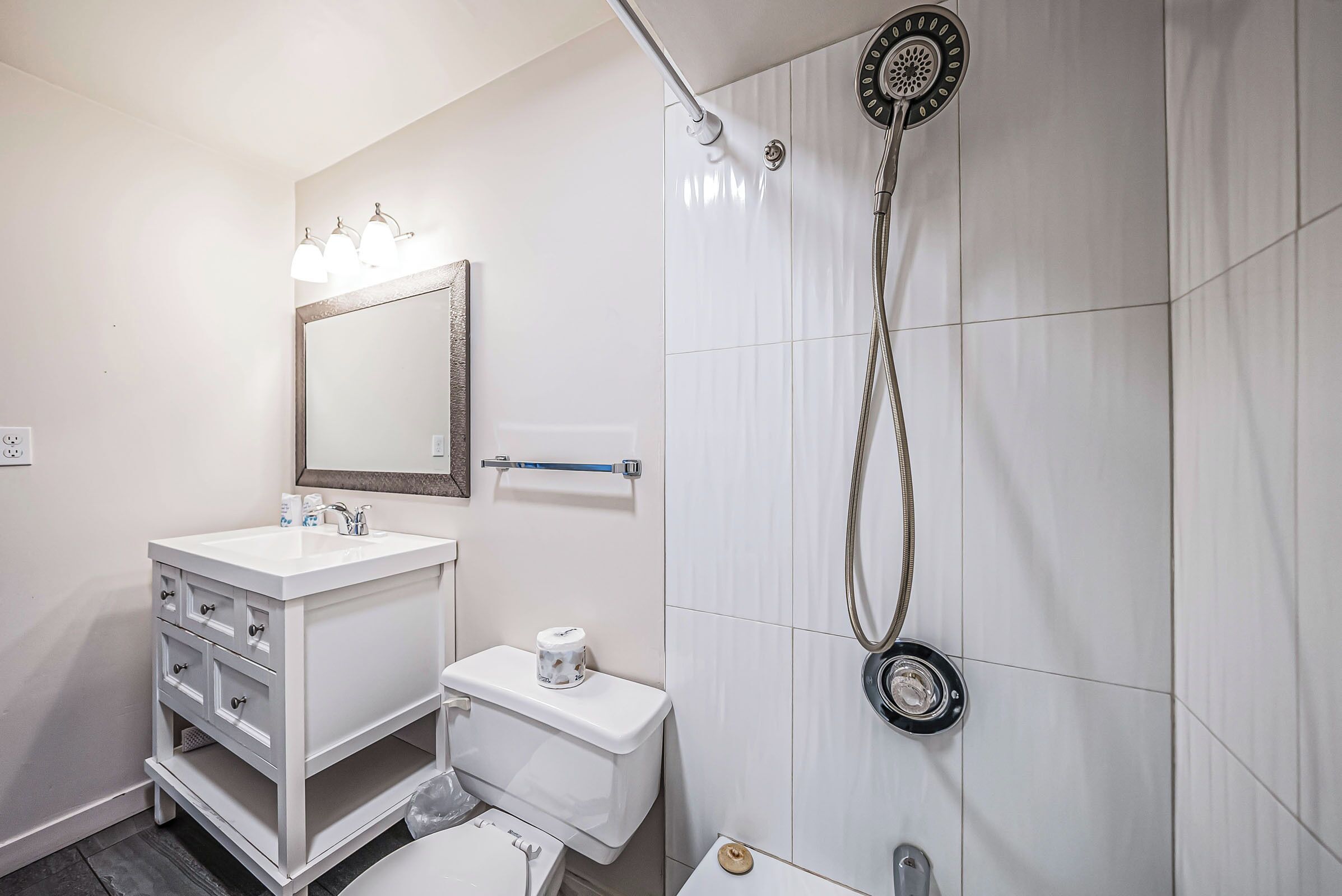 A bathroom with a white vanity, a mirror, a toilet, and a shower with a handheld showerhead.
