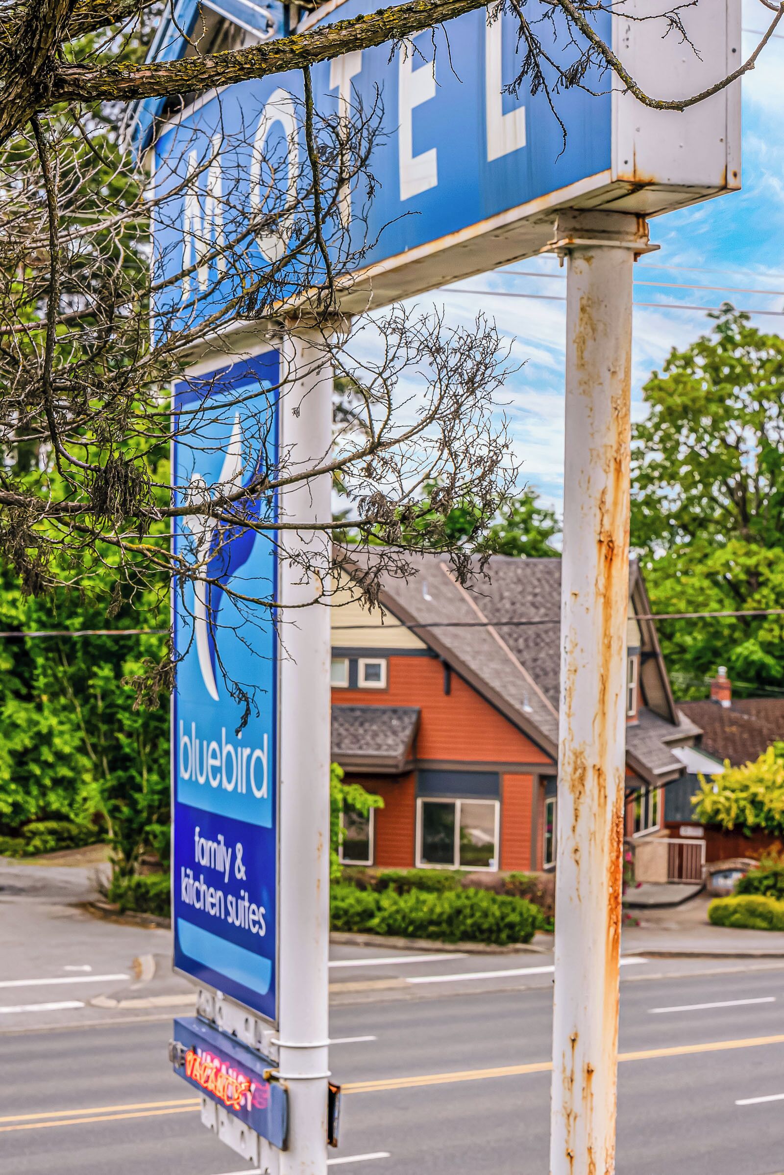 A blue sign with "bluebird" and "family & kitchen suites" indicating a hotel.